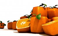 /album/heavens-design/oranges-new-variety-jpg/