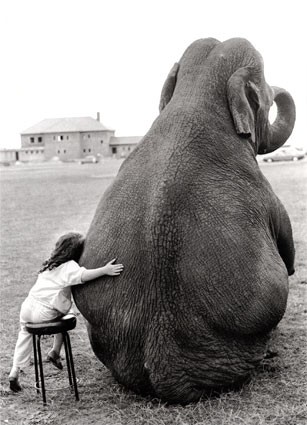 Aah... La amistad...